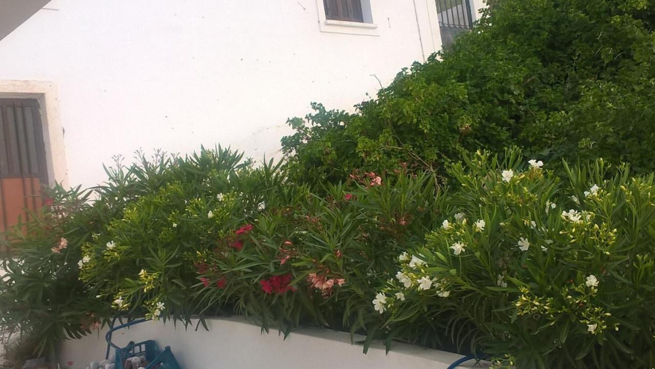 Ferienwohnung Gyrouli 1 Pera Gyalos Exterior foto